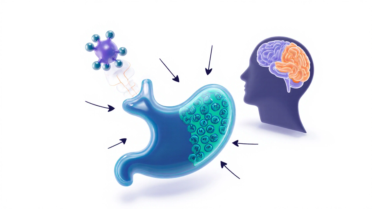 Medical illustration of semaglutide acting on pancreas and brain hunger centers.