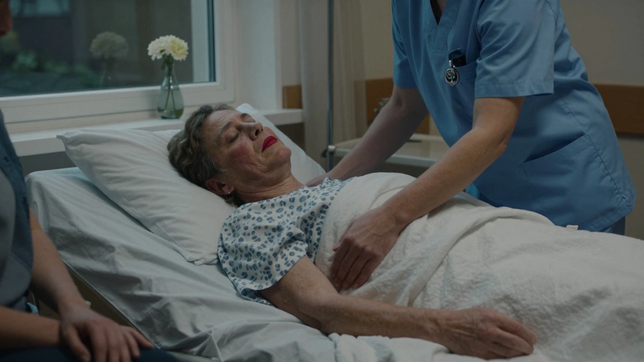 A hospice nurse gently repositions a patient, mottled skin visible, a single flower on the windowsill nearby.