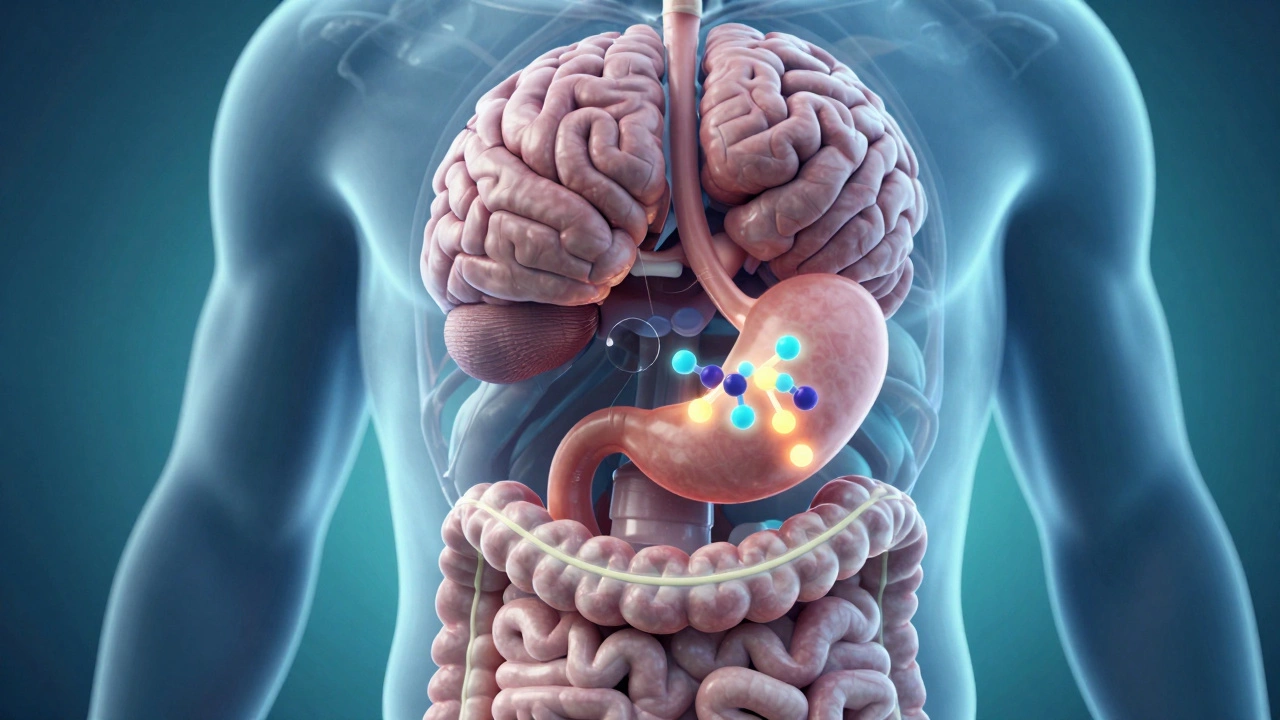 How Ozempic Works for Weight Loss: The Science Behind the Weight Loss Drug